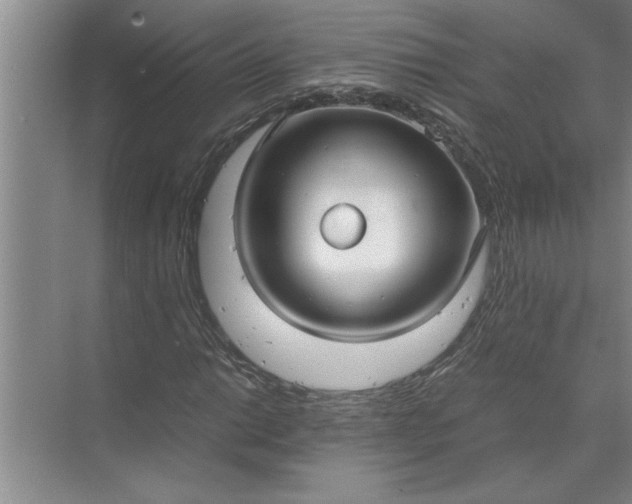 X0000072521014200607290153