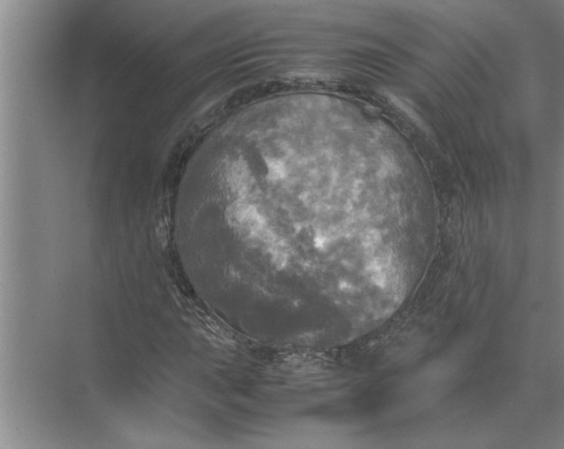 X0000072521015200607290153