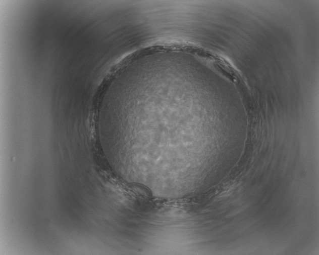 X0000072521016200607290153