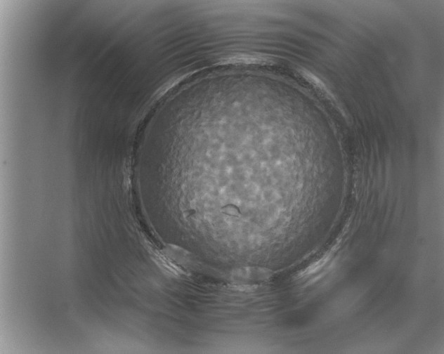 X0000072521017200607290153