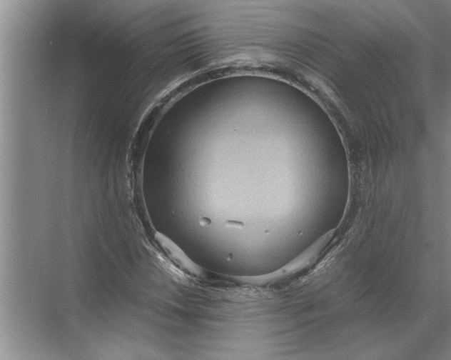 X0000072521018200607290153