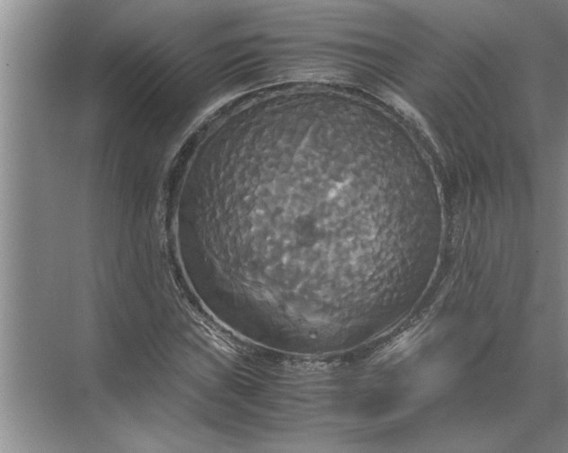 X0000072521019200607290153