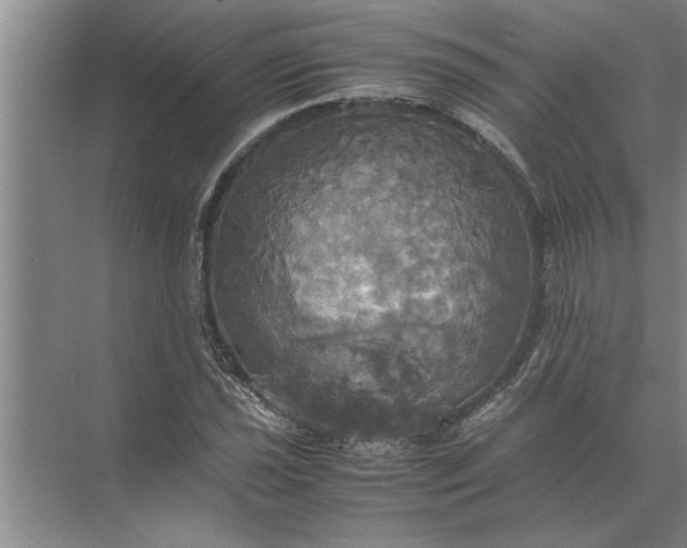 X0000072521021200607290153