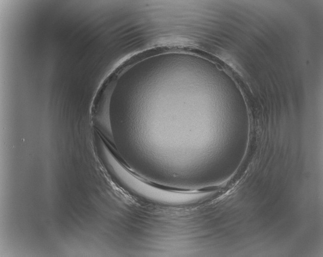 X0000072521022200607290153