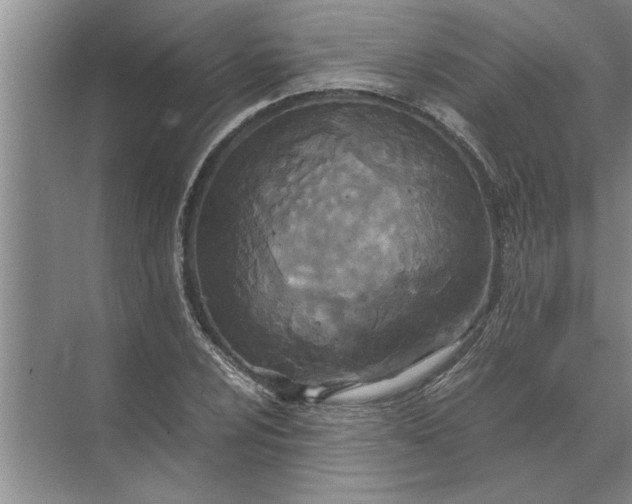 X0000072521024200607290153