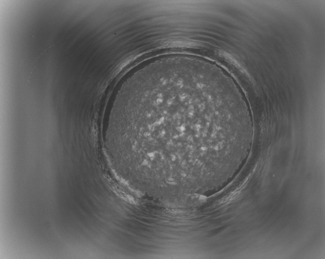 X0000072521025200607290153