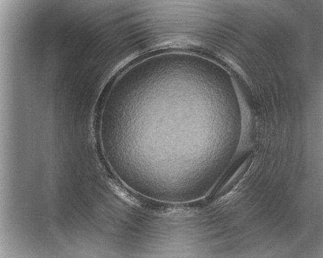 X0000072521026200607290153