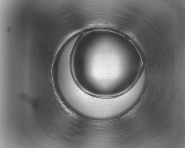 X0000072521030200607290153