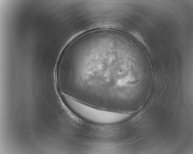 X0000072521032200607290153