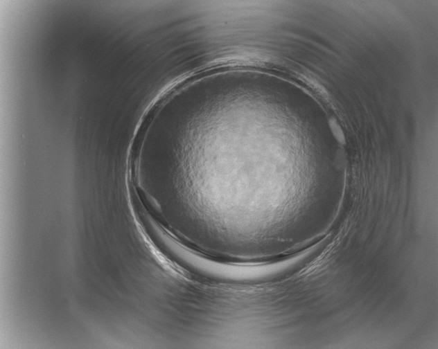 X0000072521034200607290153