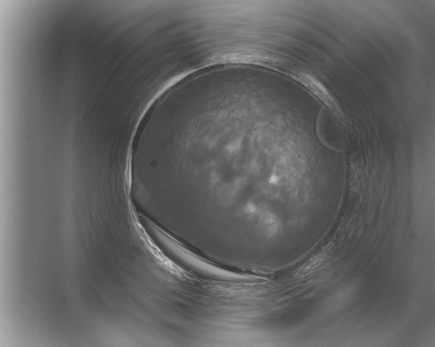 X0000072521036200607290153