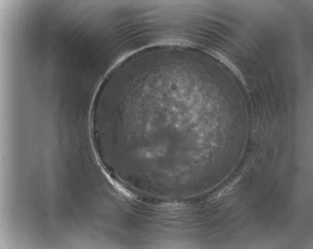 X0000072521037200607290153