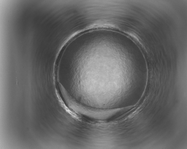 X0000072521038200607290153