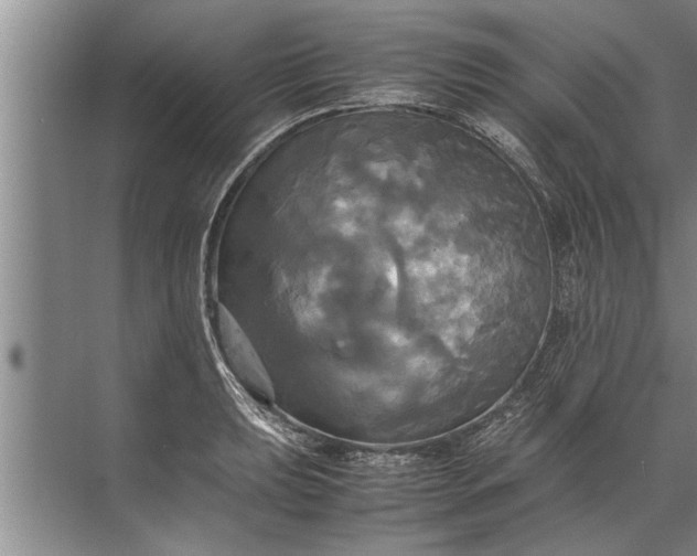 X0000072521039200607290153