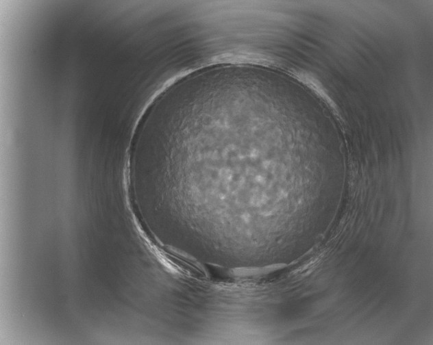 X0000072521040200607290153