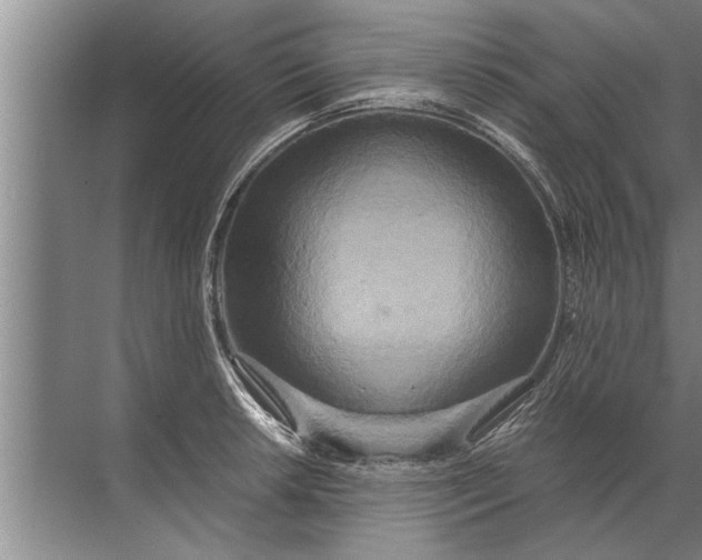 X0000072521042200607290153