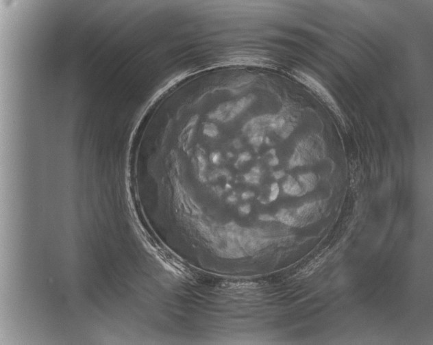 X0000072521043200607290153