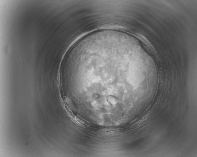 X0000072521044200607290153