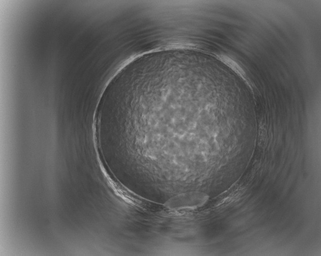 X0000072521047200607290153