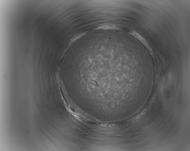 X0000072521049200607290153