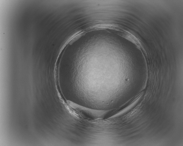 X0000072521050200607290153