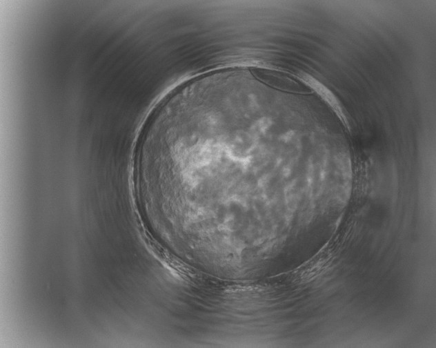 X0000072521051200607290153