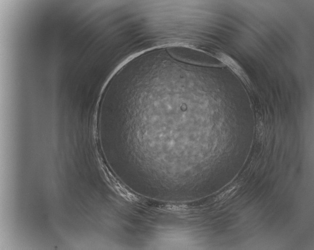 X0000072521052200607290153