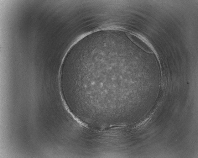 X0000072521053200607290153