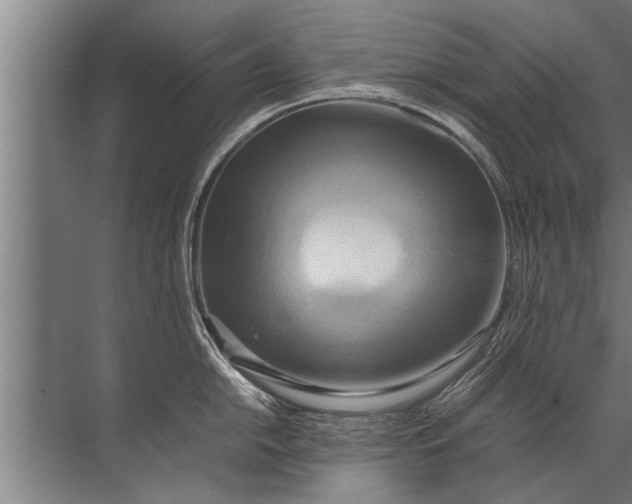 X0000072521054200607290153