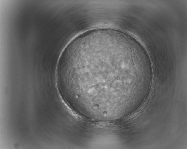 X0000072521056200607290153