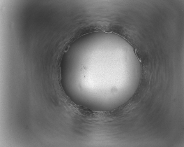 X0000072521057200607290152