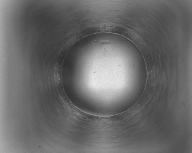 X0000072521058200607290152