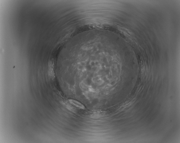 X0000072521060200607290152