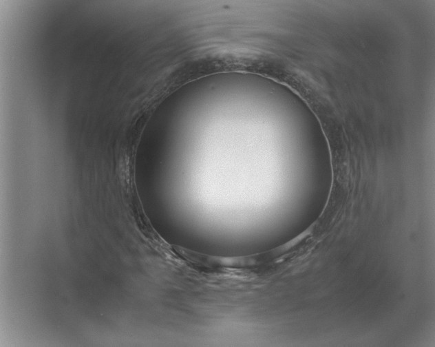 X0000072521061200607290152