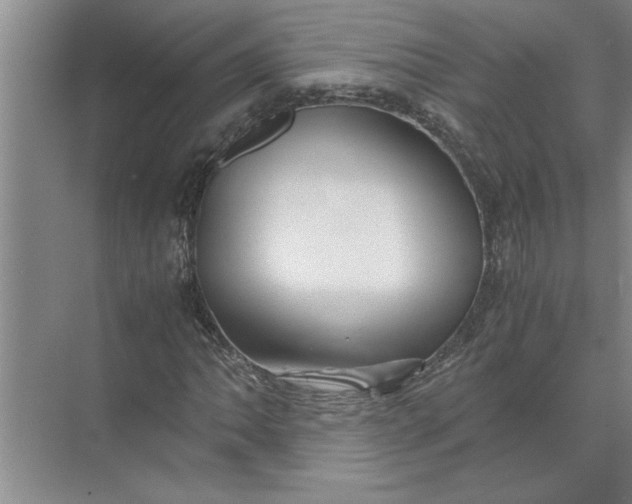 X0000072521062200607290152