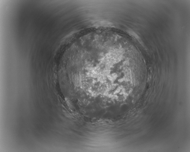 X0000072521063200607290152