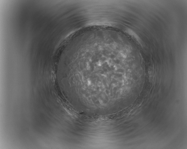 X0000072521064200607290152