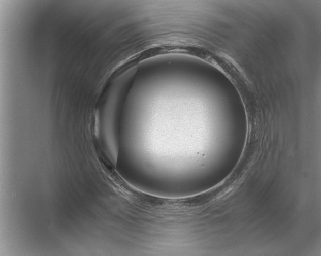 X0000072521065200607290152