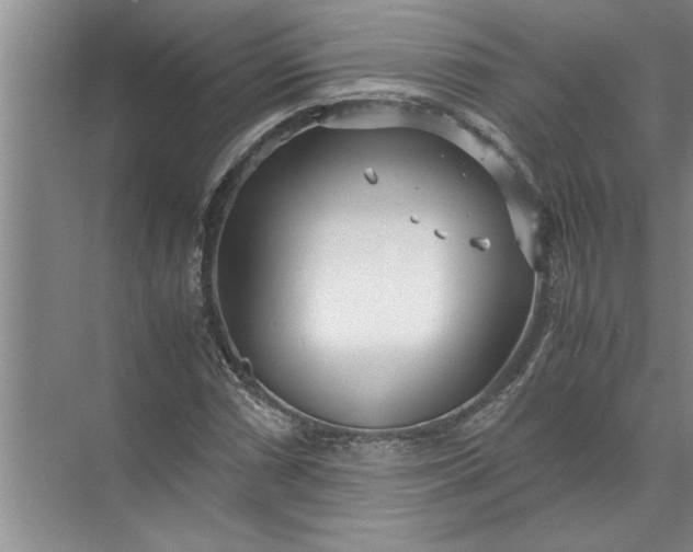 X0000072521066200607290152