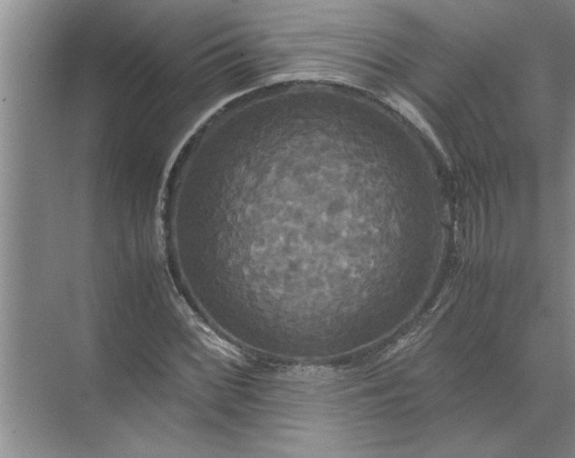 X0000072521068200607290152