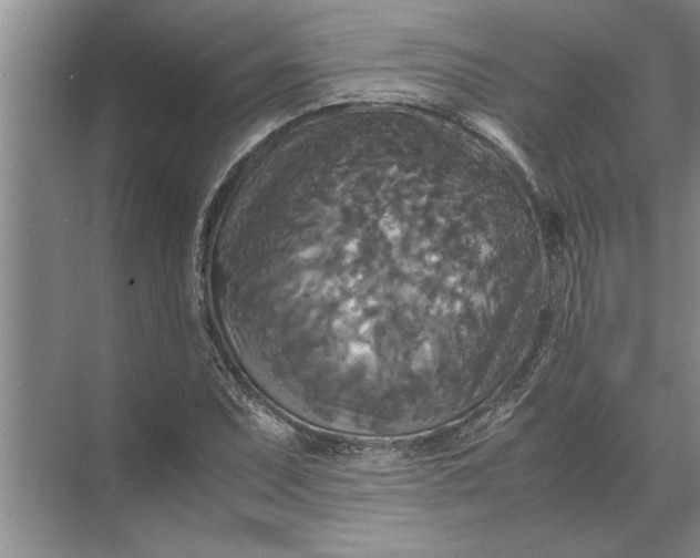 X0000072521071200607290152