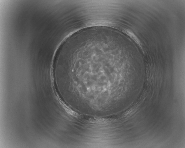 X0000072521072200607290152