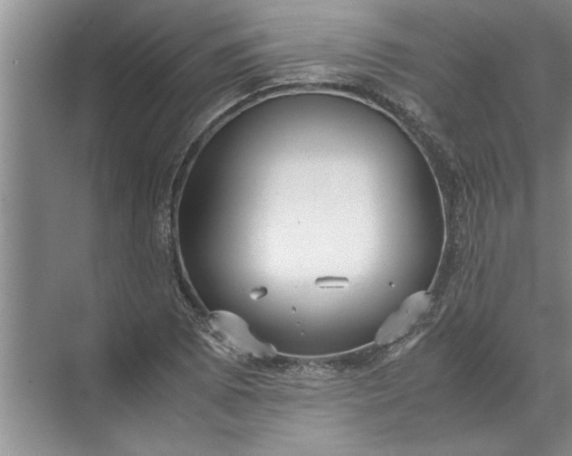 X0000072521073200607290152