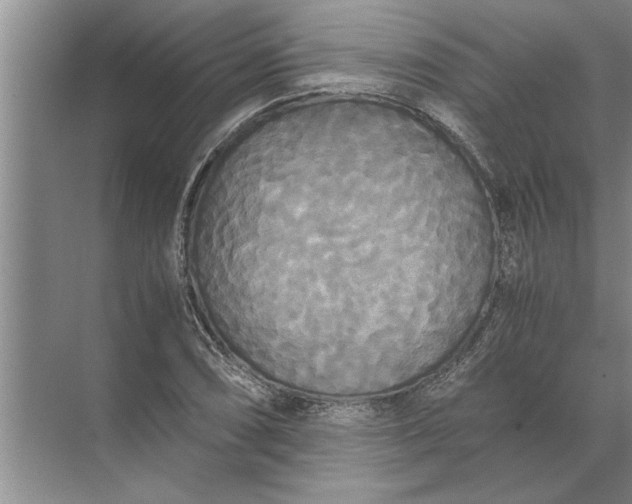 X0000072521074200607290152