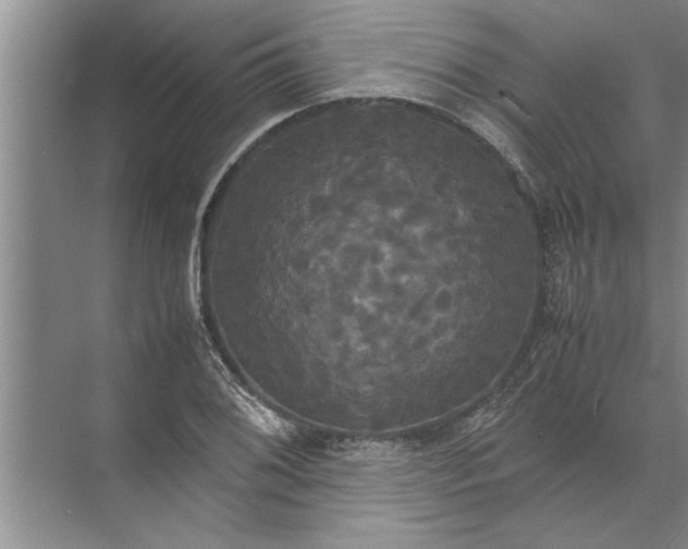 X0000072521076200607290152