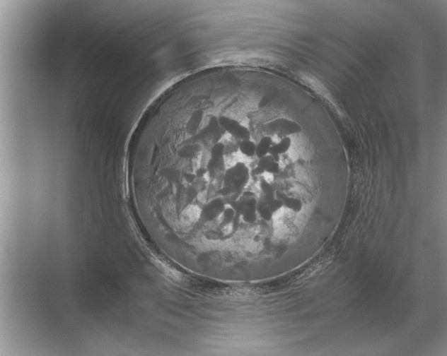 X0000072521079200607290152