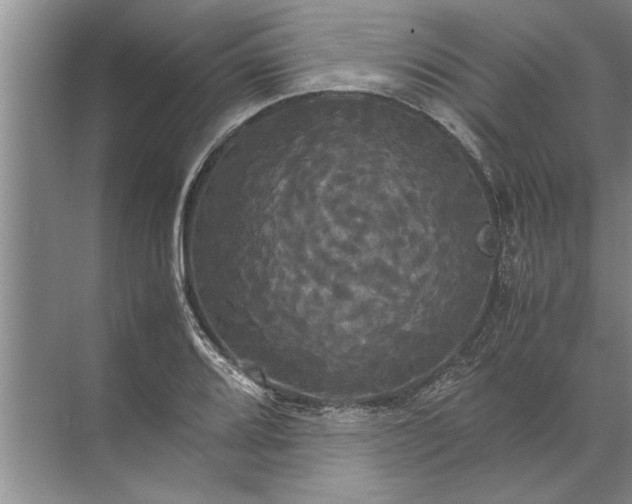 X0000072521080200607290152