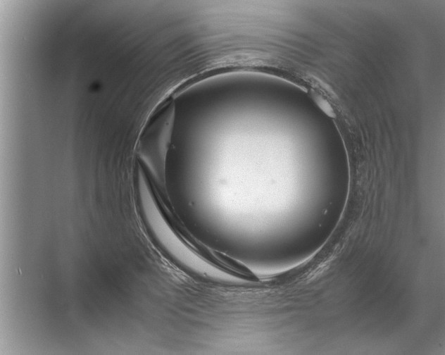 X0000072521081200607290152