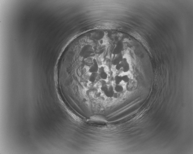 X0000072521083200607290152