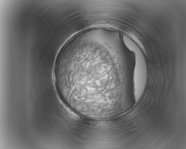 X0000072521084200607290152